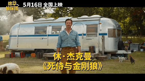 金刚狼给羊打工这群羊可不是普通羊，它们听了太多侦探故事，主人一出事立马反应过来
