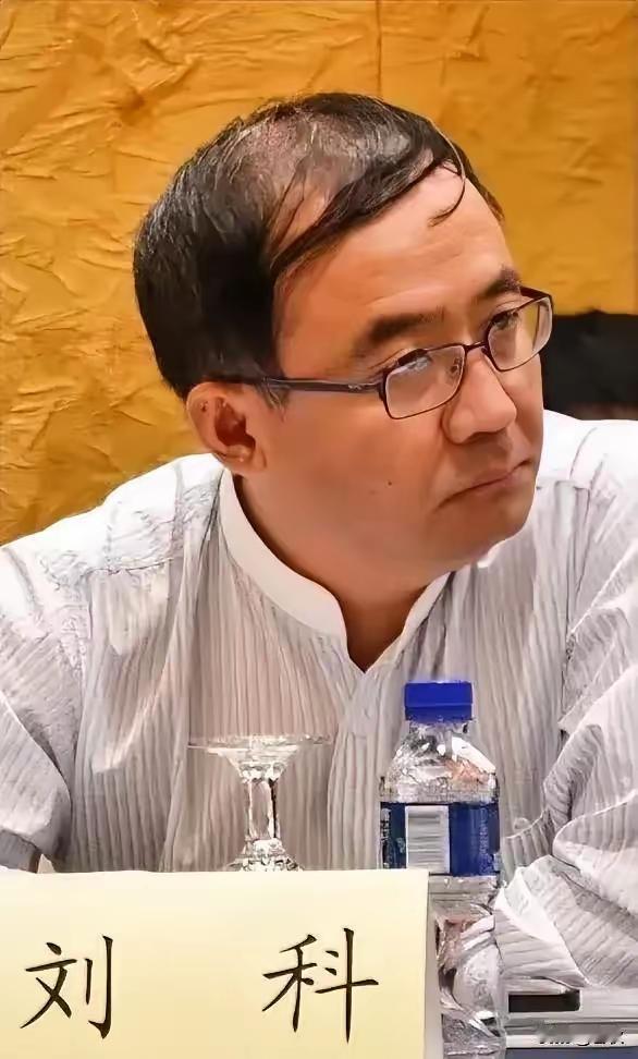 院士刘科最近有个观点火了，说咱别死磕长续航纯电，该试试绿色甲醇增程。他说，盲