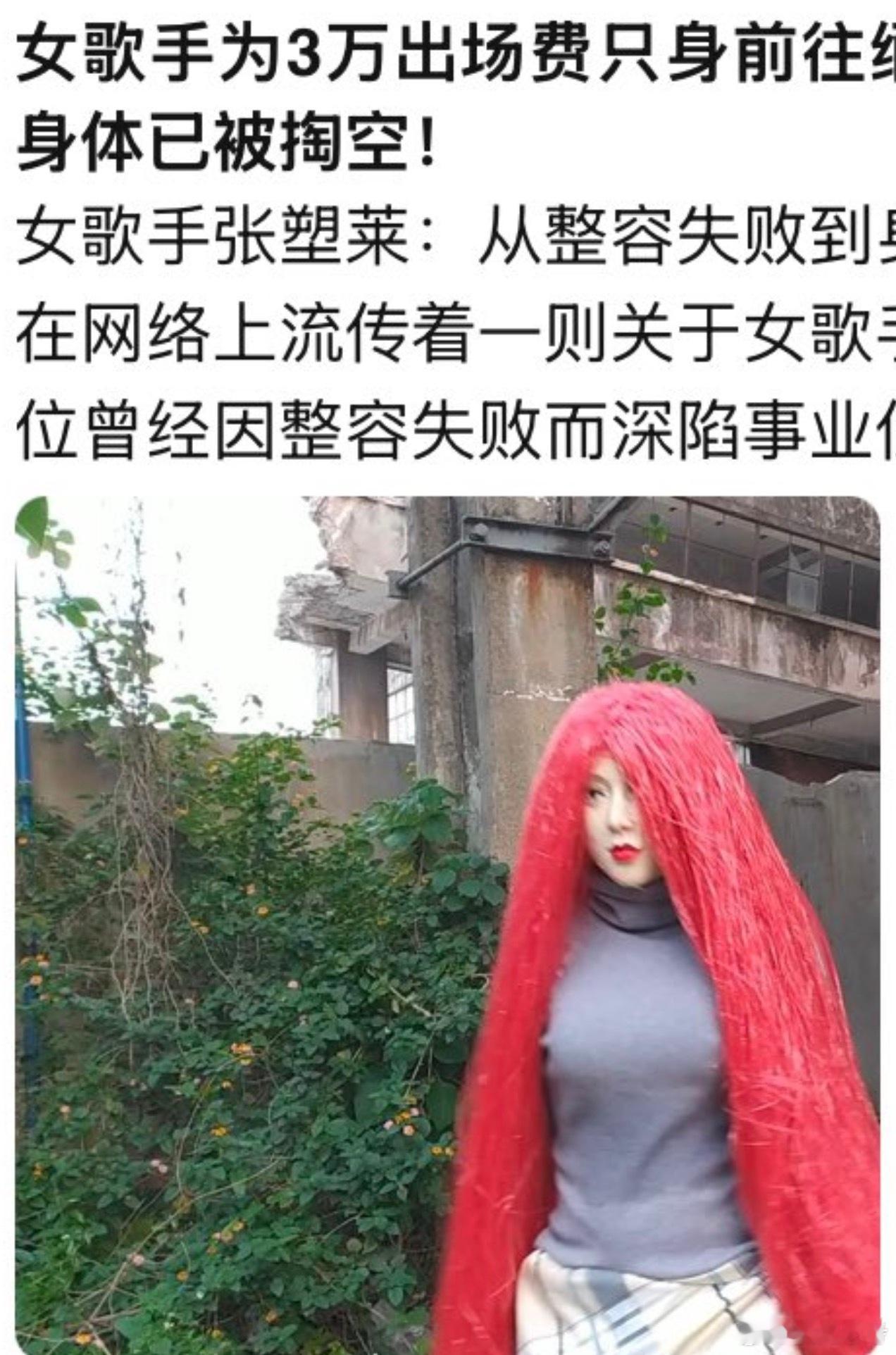 网络流传张塑莱，有一个很大的爆料。说什么→_→【近日，华裔女权活动家张塑莱（祖籍广东）被纽约警方逮捕