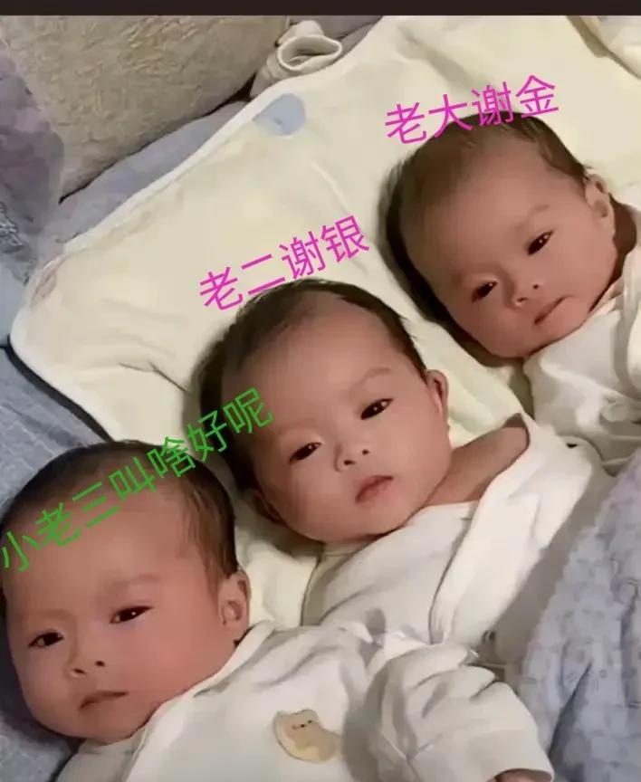 姓谢，老大，老二都取好名字了小老三叫啥合适呢？求助大神们[？？？]
