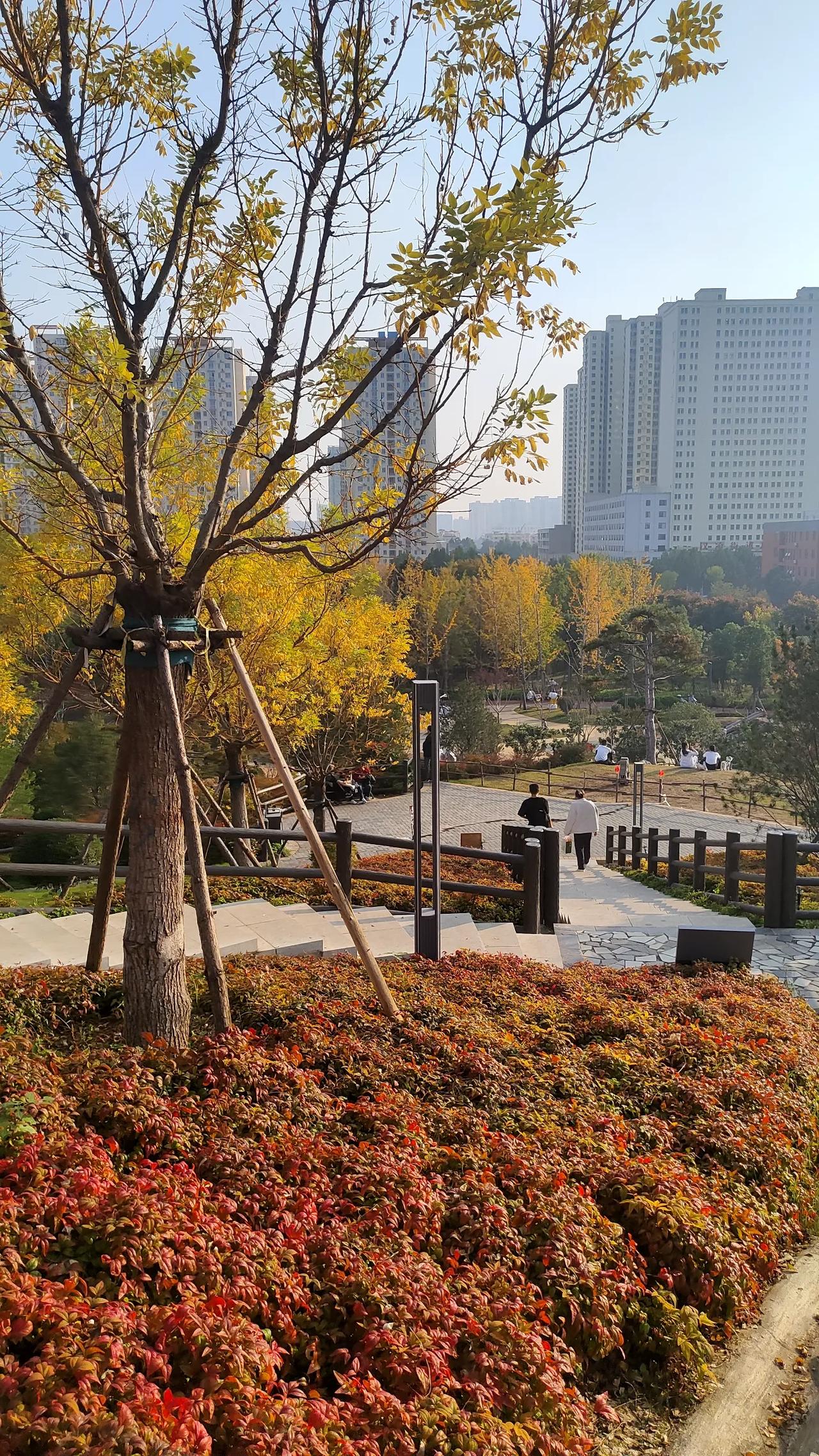 “房贷贴息”来了，大家的房贷大概率又能往下降了，快看看你的房货利率是多少？房