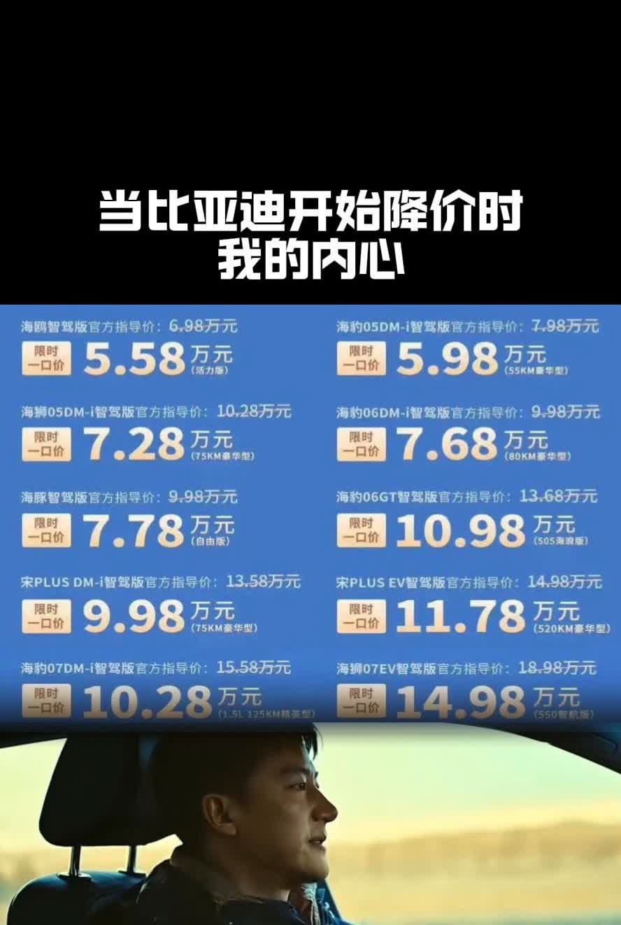 当比亚迪开始降价时。我的内心。