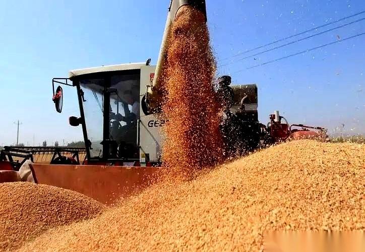 总有人问，要是全世界不卖粮食给咱，咱们14亿人会不会饿死？天真了，我的朋友。