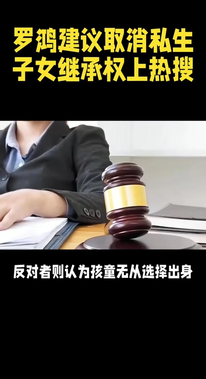 罗鸿建议取消私生子女继承权：撕开婚姻忠诚与财产公平的遮羞布“建议修订民法典