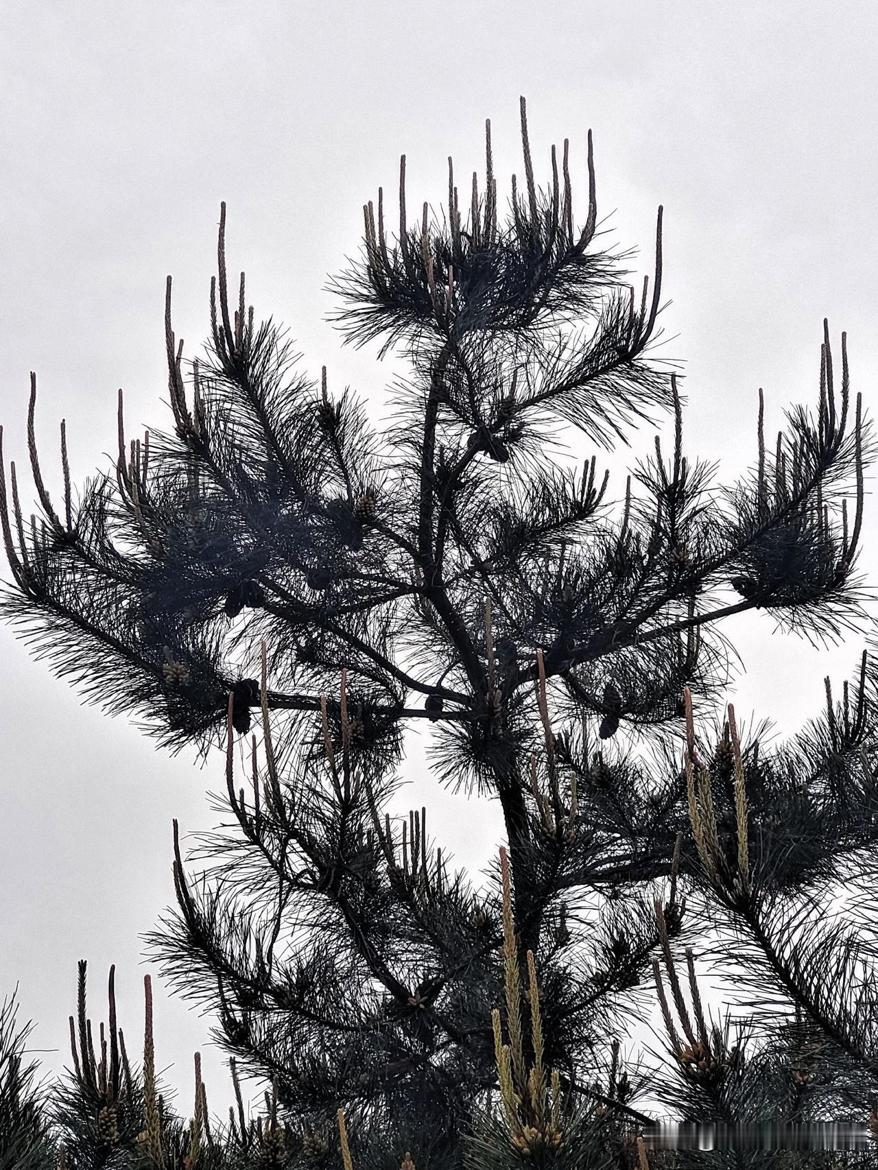 上联：离乡背井年方少下联：归根落叶人苍老终生坚持作品原创的人图片来源于作