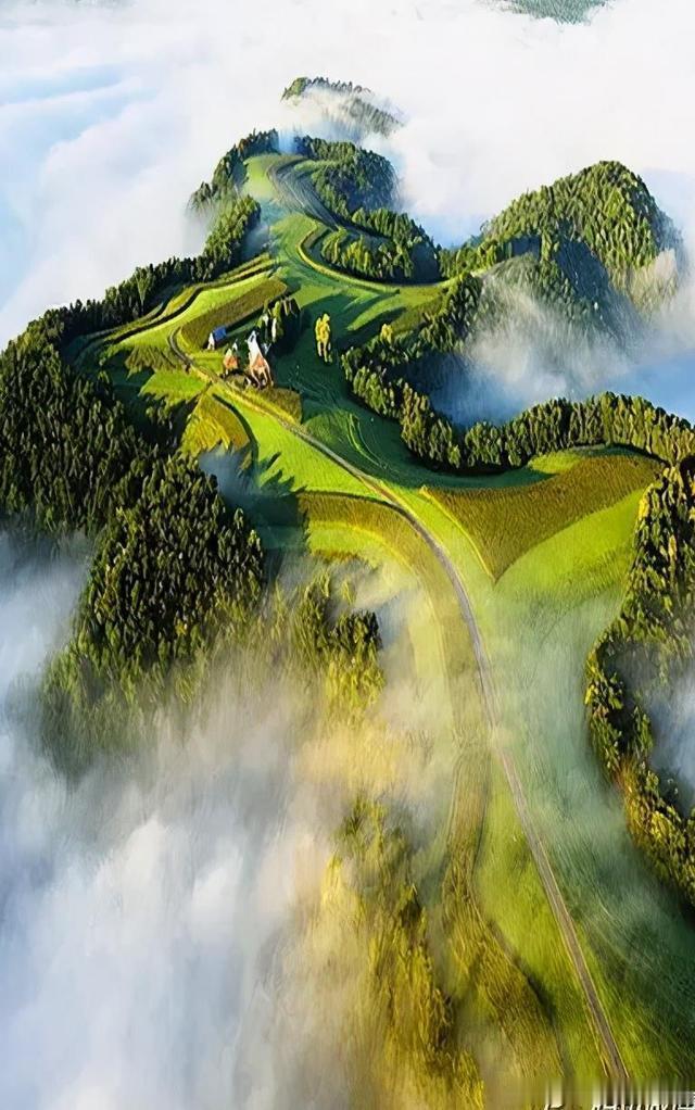 小运播报：2026年2月3日，星期二，农历腊月十六(乙巳年己丑月戊申日)，法定