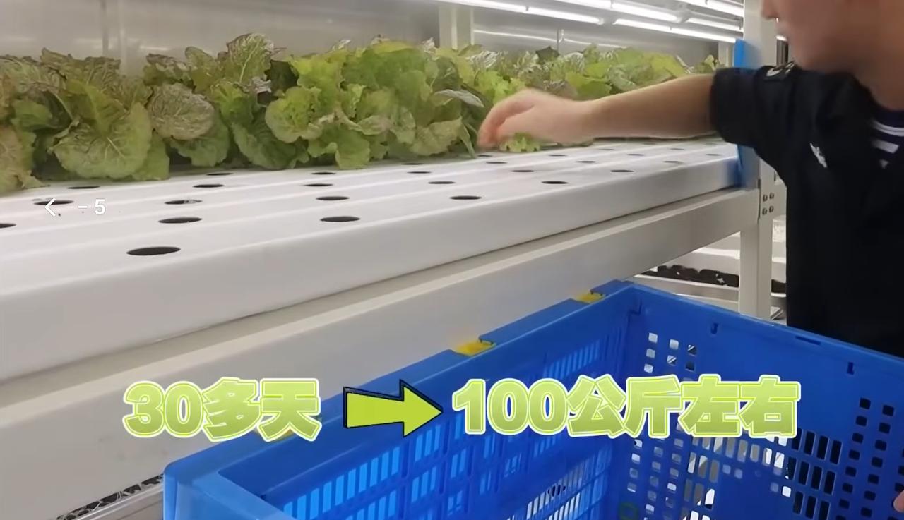 这你敢想吗？补给舰上，已经可以自主种菜了。新鲜蔬菜不是不好保存吗？那好，