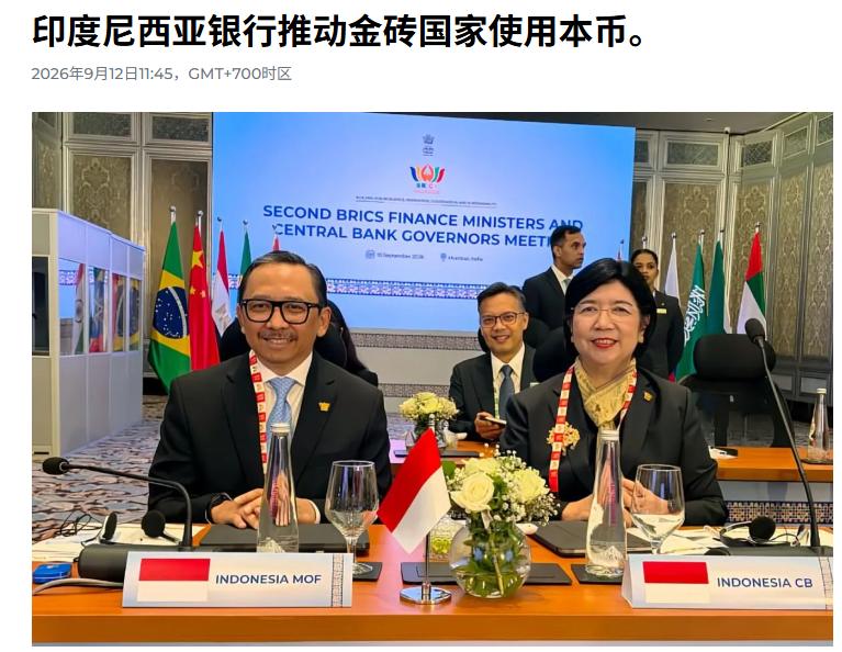 悄悄绕开美元！金砖这次真的玩大了，全程不硬刚，却直接断了美元后路。 2026