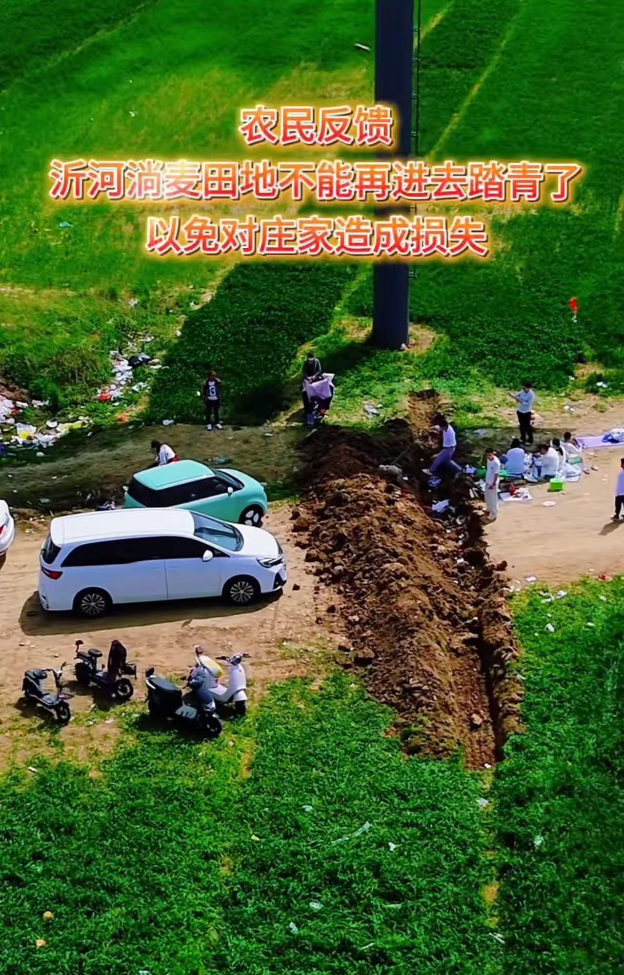 江苏沭阳，一群城里人来农村踏青，把麦田给糟蹋了！农民们看不下去，把通往麦田地的路