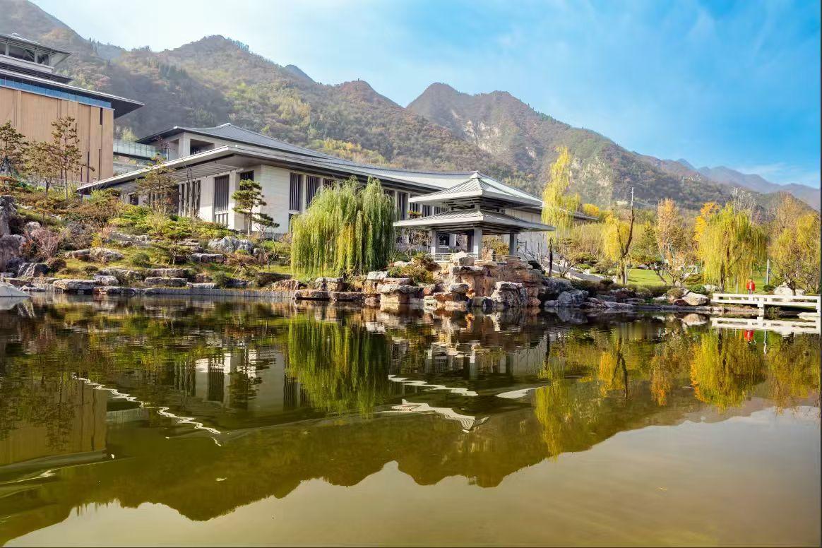 这两天一出门，风里那股“凉丝丝”的劲儿终于藏不住了——但你可别光裹紧外套，咱身边