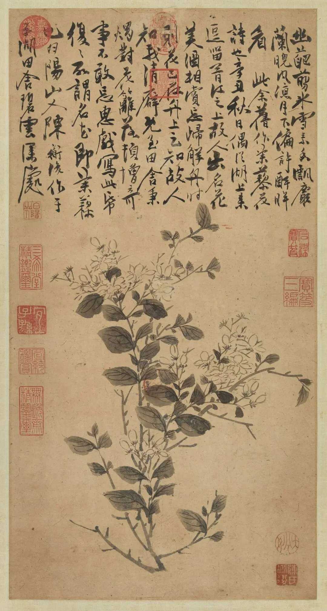 明陈淳《茉莉图》，纸本立轴水墨58.4x30.5厘米，台北故宫博物院藏