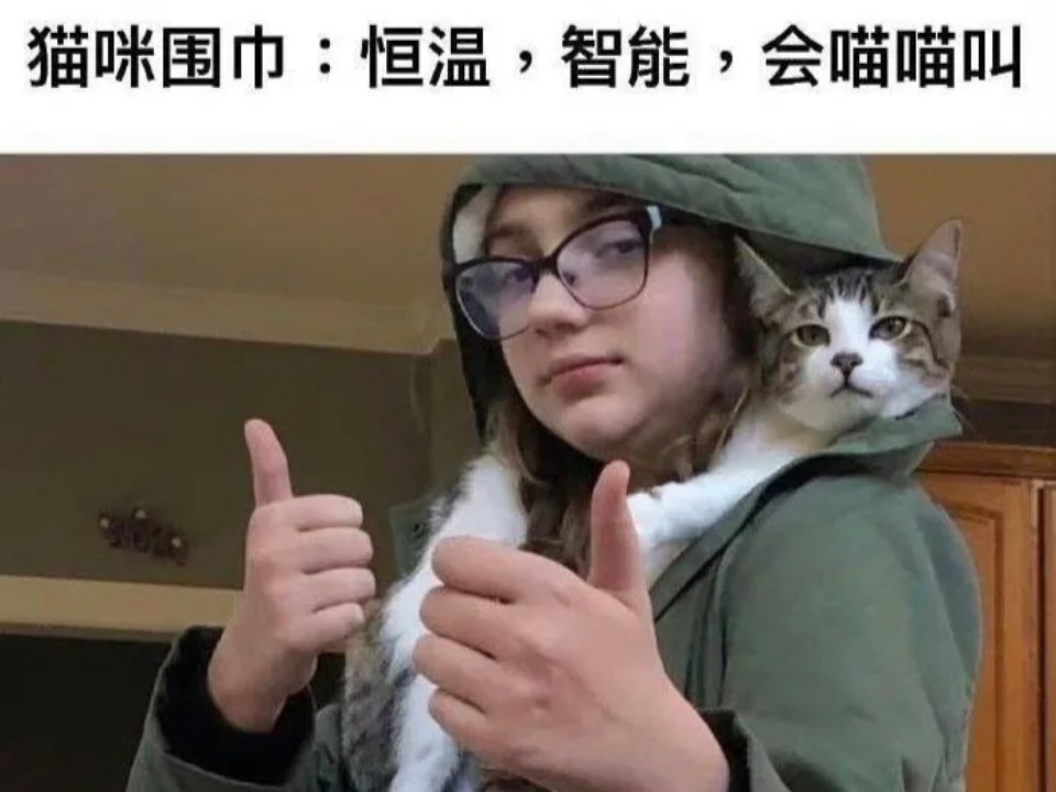 没有人可以拒绝一款猫咪围巾​​​