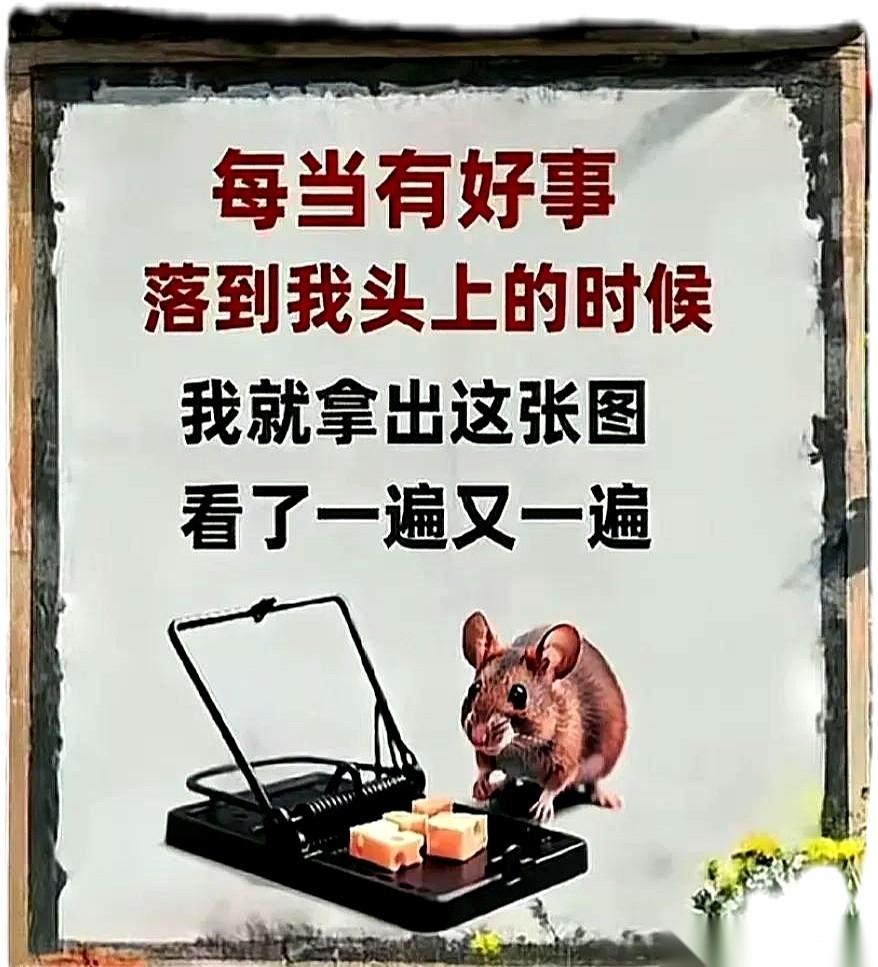 欠费一秒钟，手机变板砖。流量用超了，网速照样狂飙。我以前一直没想明白这事儿。