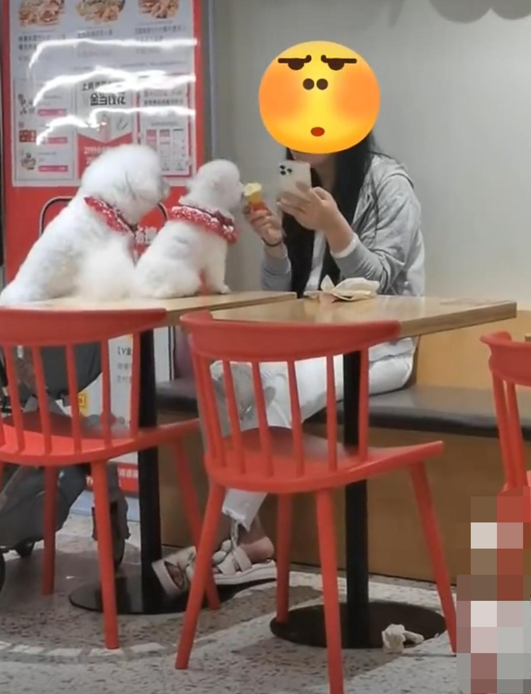 广东珠海，某肯德基店内，女子吃冰淇淋，还真是狗狗一口她一口……视频中，这个女的