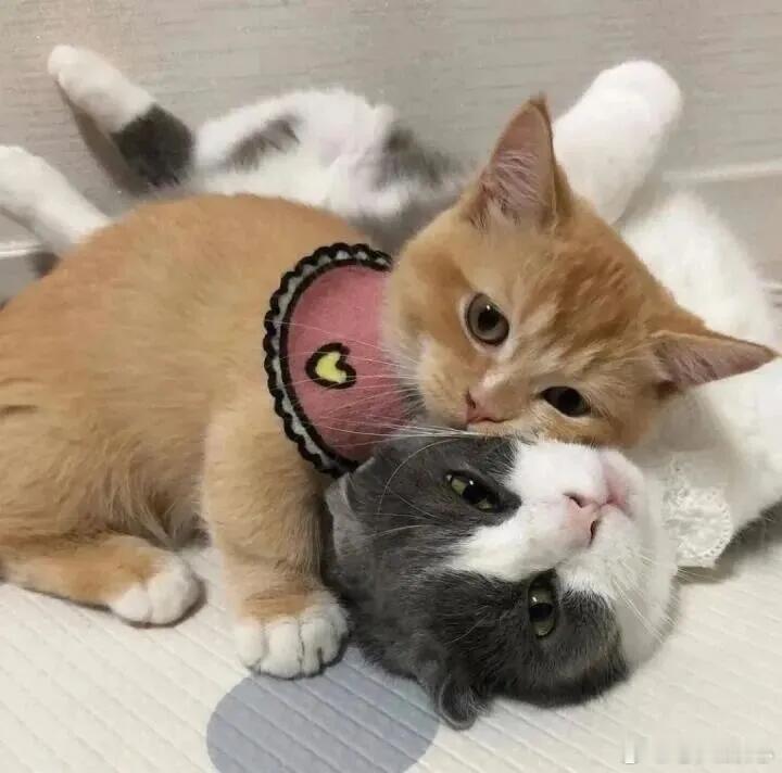 打工人逃不过的腰背危机客户提不合理要求，我拒绝后被刁难，老板直接站出来说“按规矩