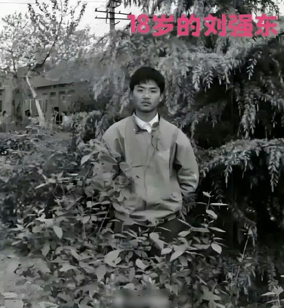 18岁的刘强东vs18岁的章泽天