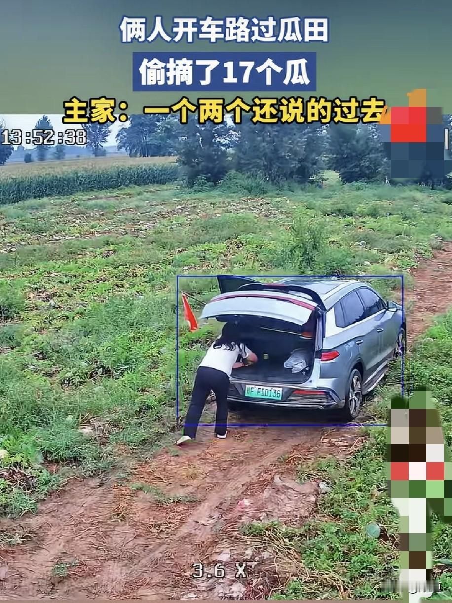 真是不是一家人不进一家门呀。一男一女两个人，不是夫妻就是情侣，开车路过瓜田。