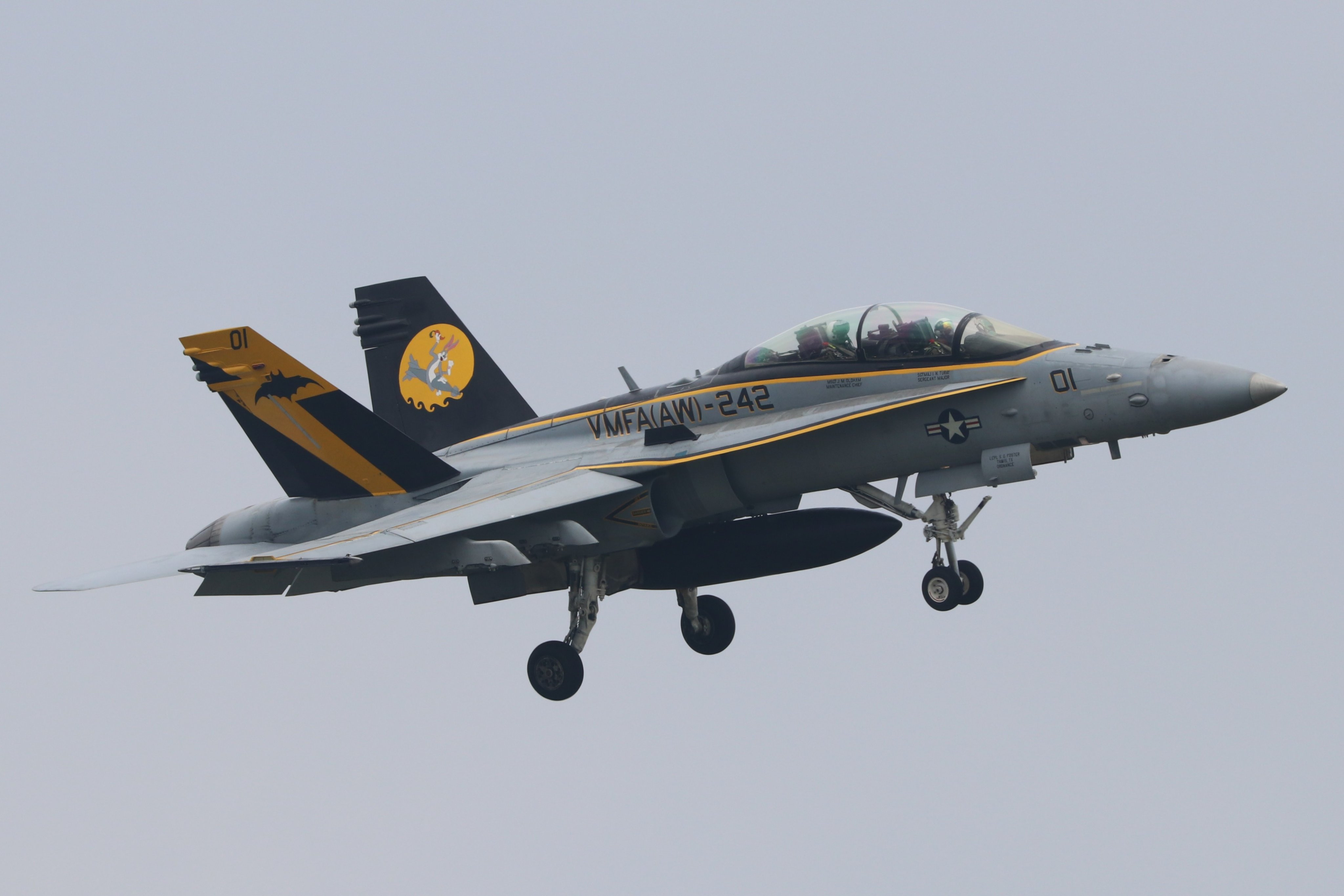 横田基地，陆战队VMFA-242中队旗下普通虫