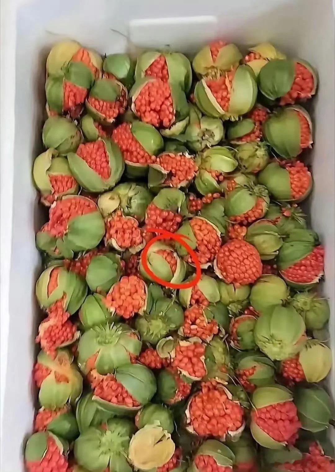 闺蜜寄过来的，有人知道这是什么东西吗