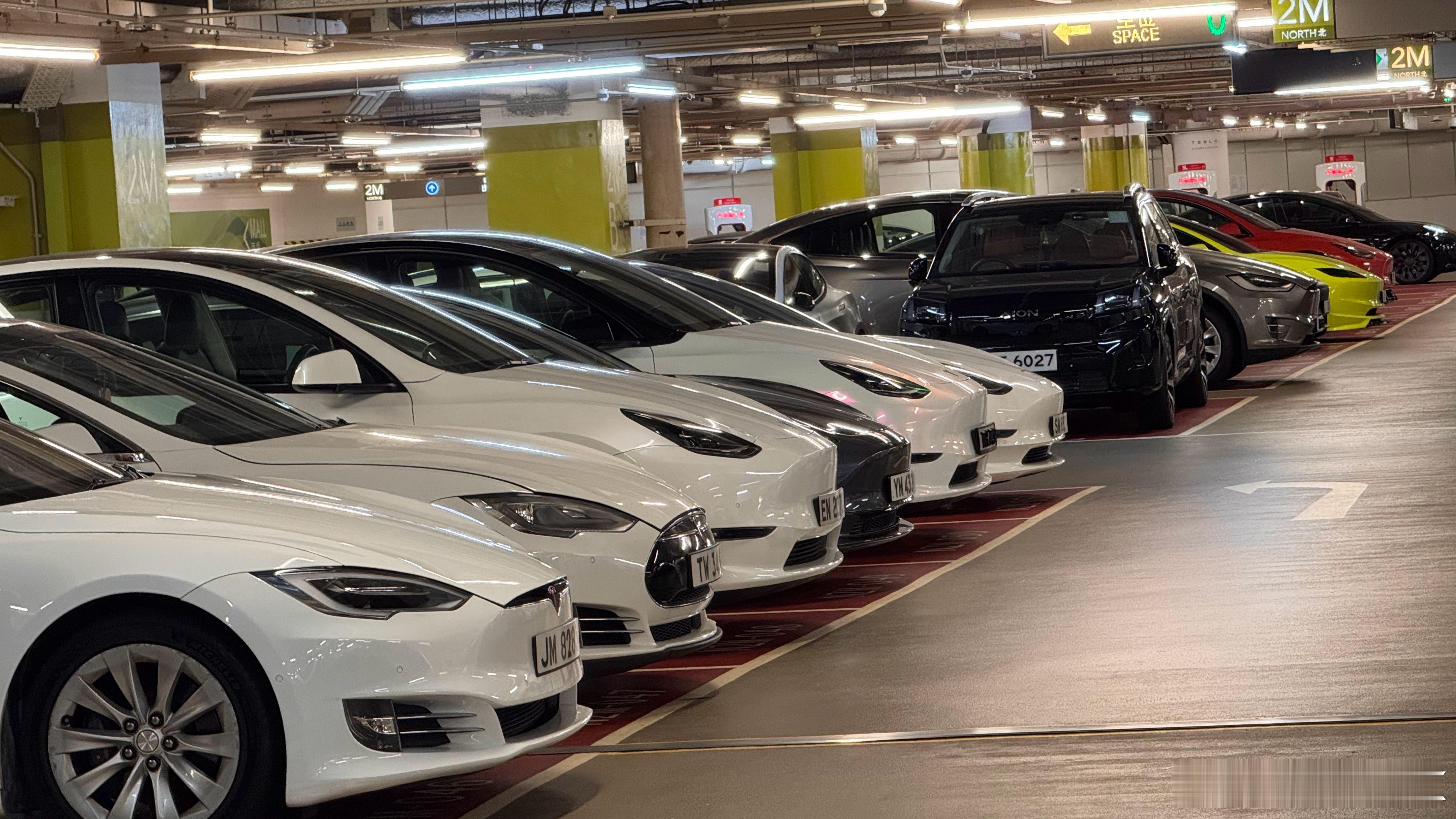 香港这特斯拉密度好恐怖…这是商场的停车场（充电区域）不是特斯拉展厅啊啊啊啊啊啊啊