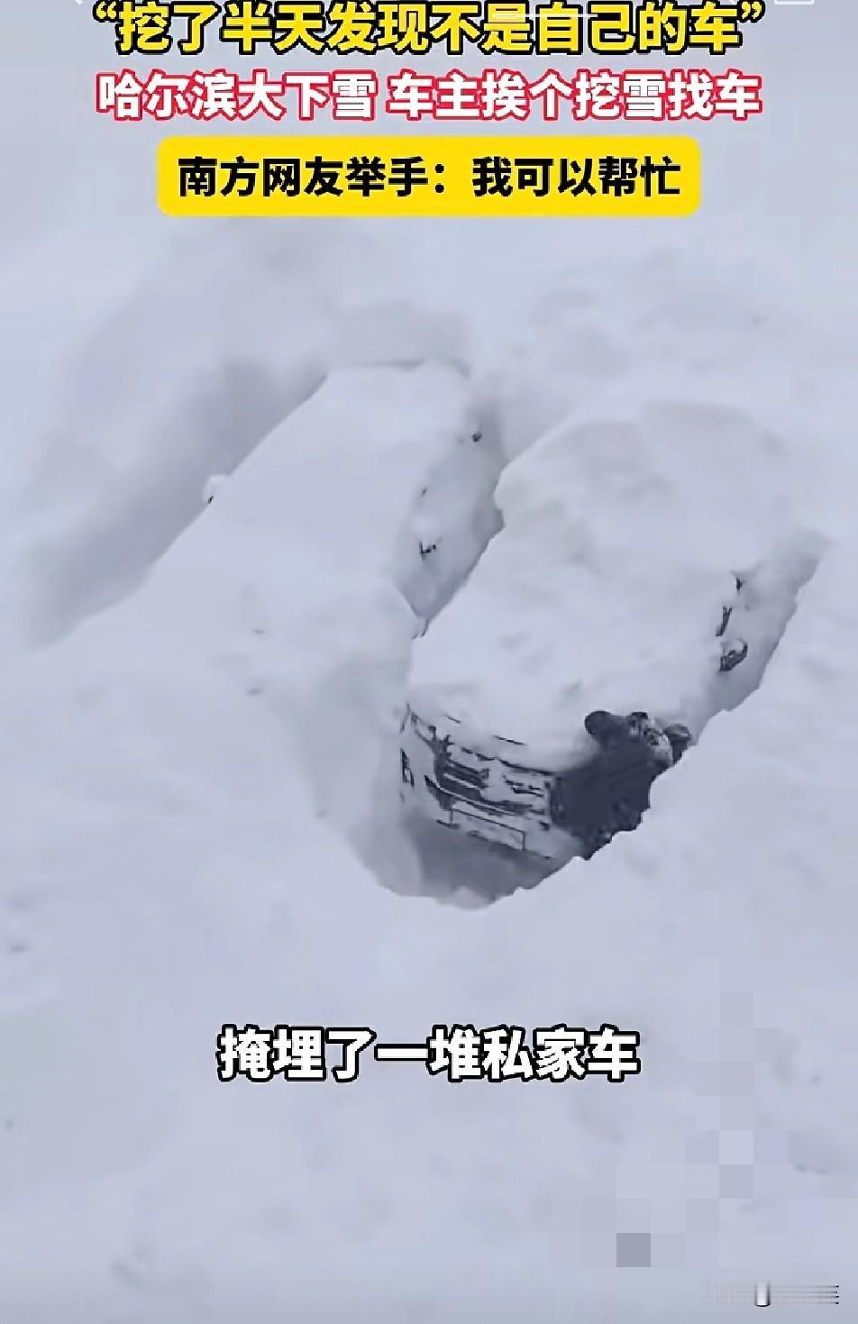 笑不活了！哈尔滨一场大雪过后车主们集体上演“挖宝”现场车被埋得只剩个