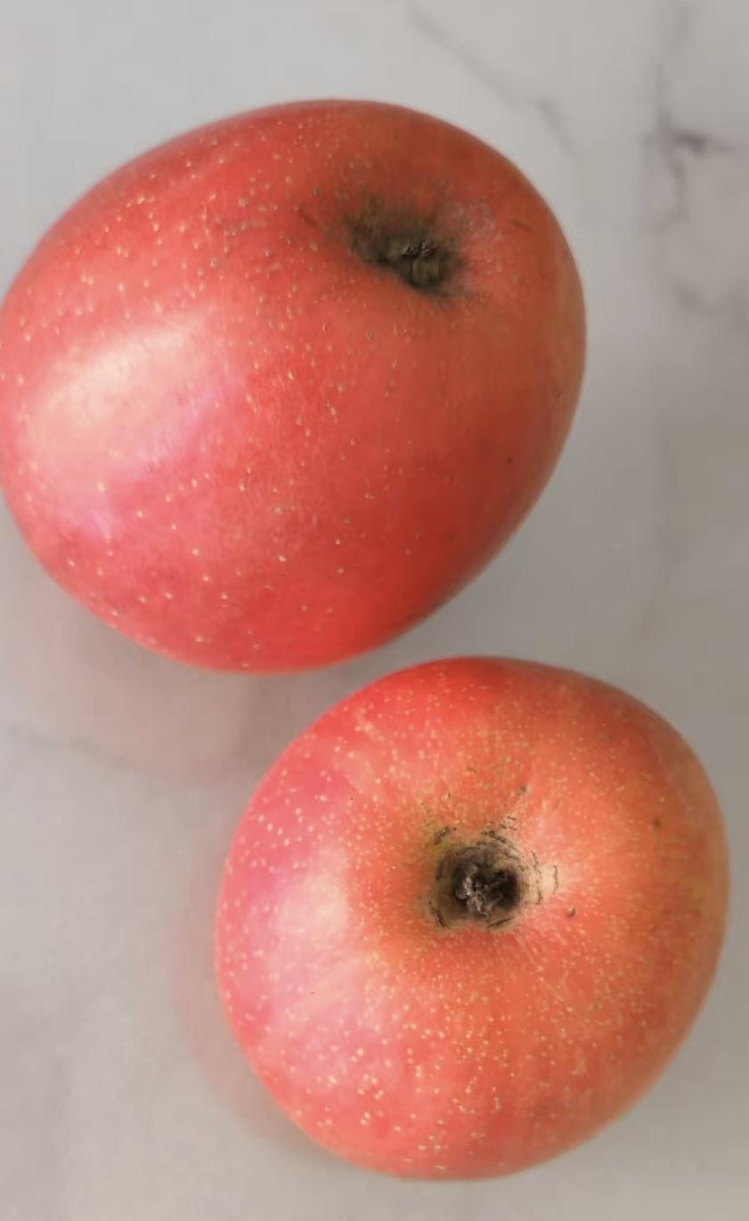 去年底我买了批苹果，看着特新鲜，结果吃了俩胃就难受，剩下的全扔了。谁能想到，四个