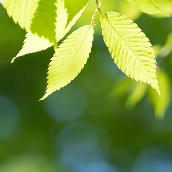 一个人最大的靠山，常常不是外在的财富、地位或权力，而是内心的坚定与自信。无论环境