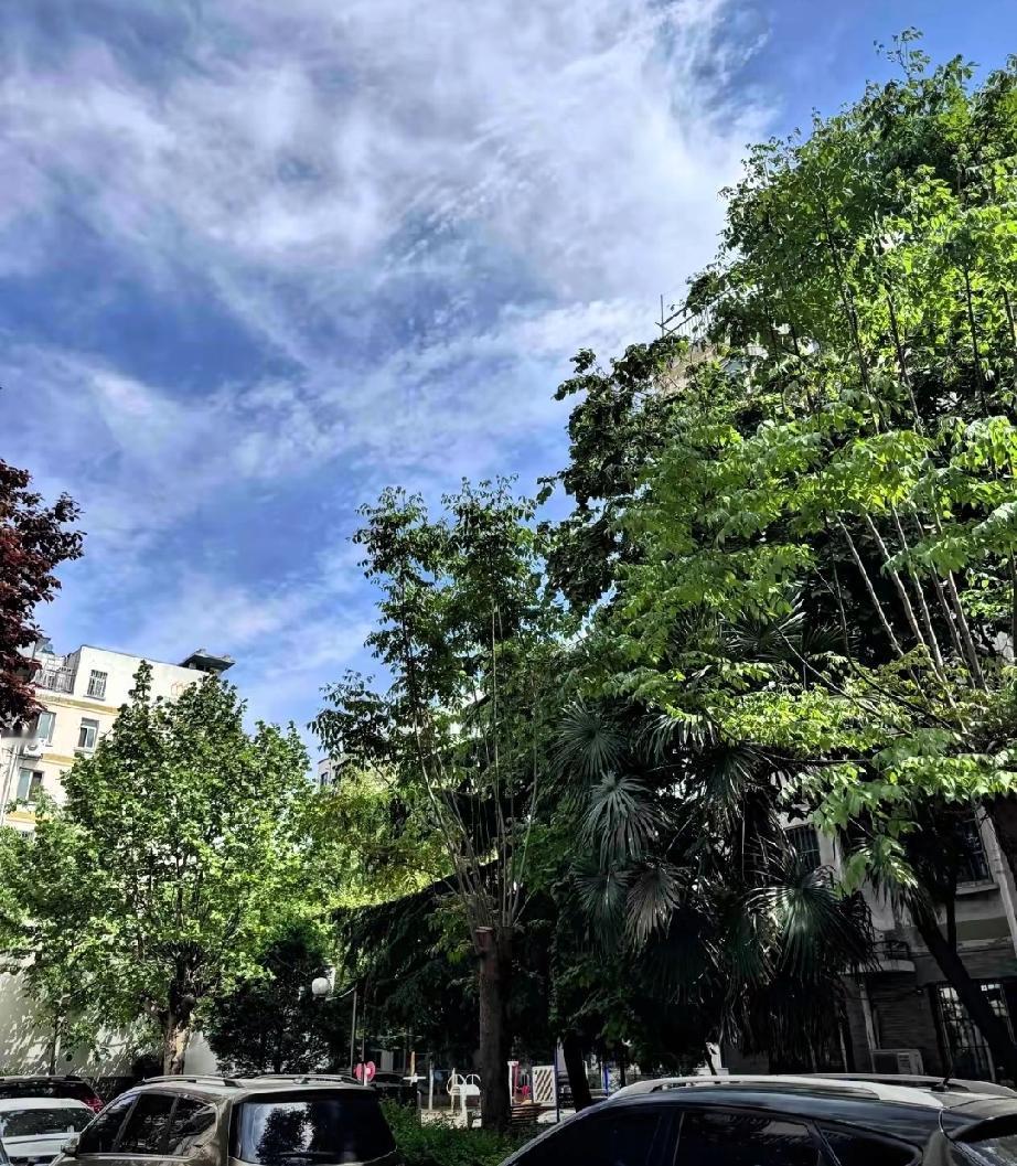 人都是有定数的我同事家里资产千万，但是之前算命先生告诉她是身弱不担财那种，她并