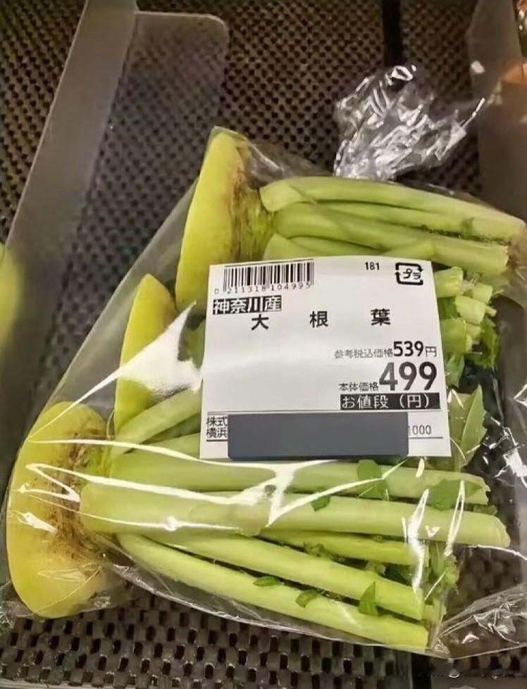 最近有网友在日本超市发现了一袋白萝卜叶，标价499日元（约23元人民币）。虽然商