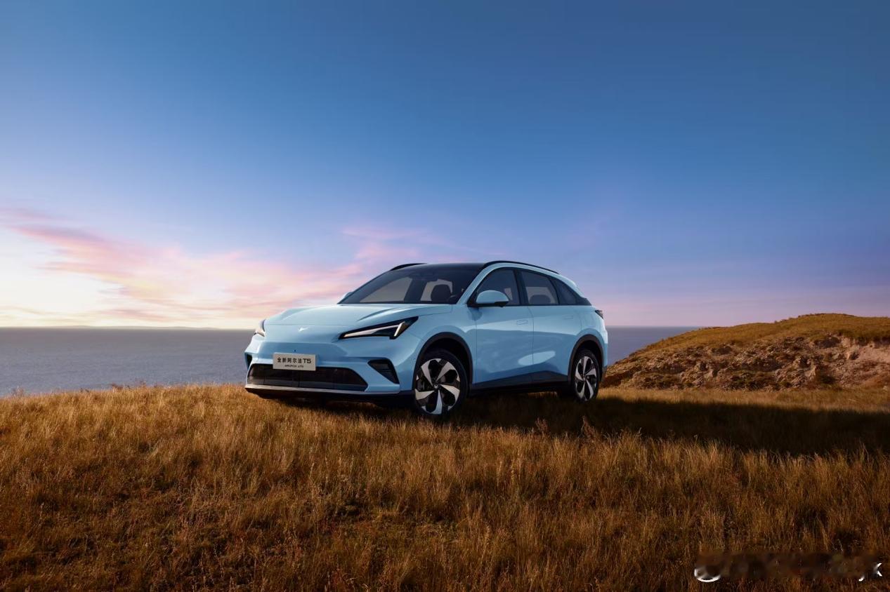 极狐全新阿尔法T5极狐全新阿尔法T5定位为“全能六边形战士”，以12.38万—1