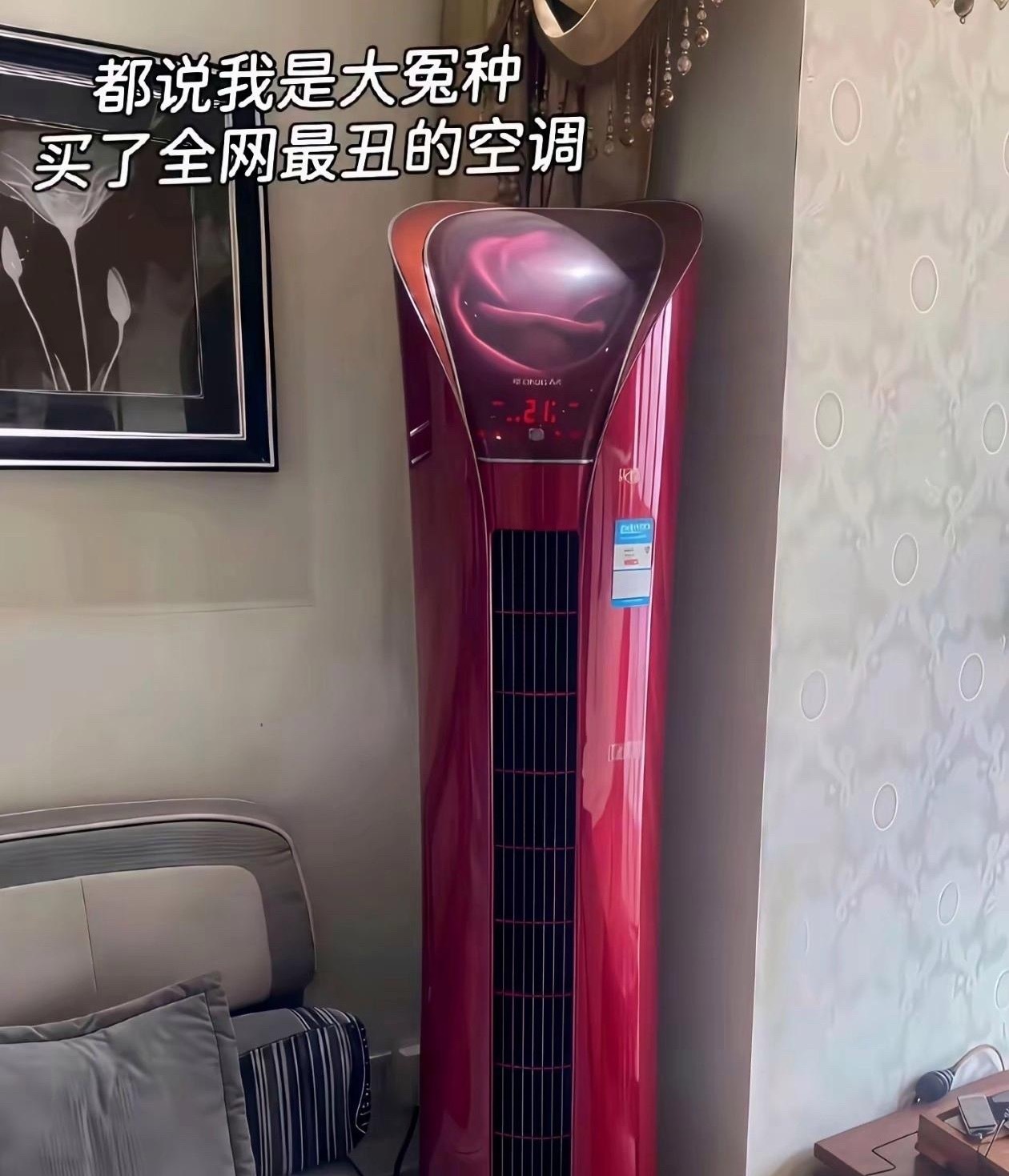 买了这空调已经被笑了半个月了，真的有这么丑吗？