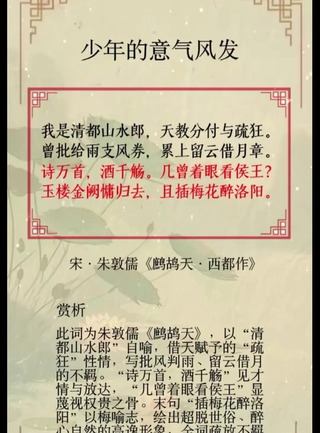 #万能生活指南#疏狂作骨，梅花为魂——朱敦儒《鹧鸪天·西都作》的隐逸绝唱与精神