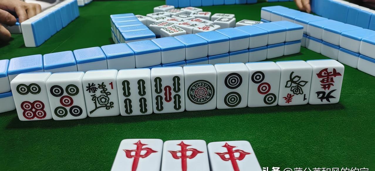 开麻将馆赚钱的老板娘，正被麻将一点点吞掉。她天天坐自己店里，打5元一局的麻将。