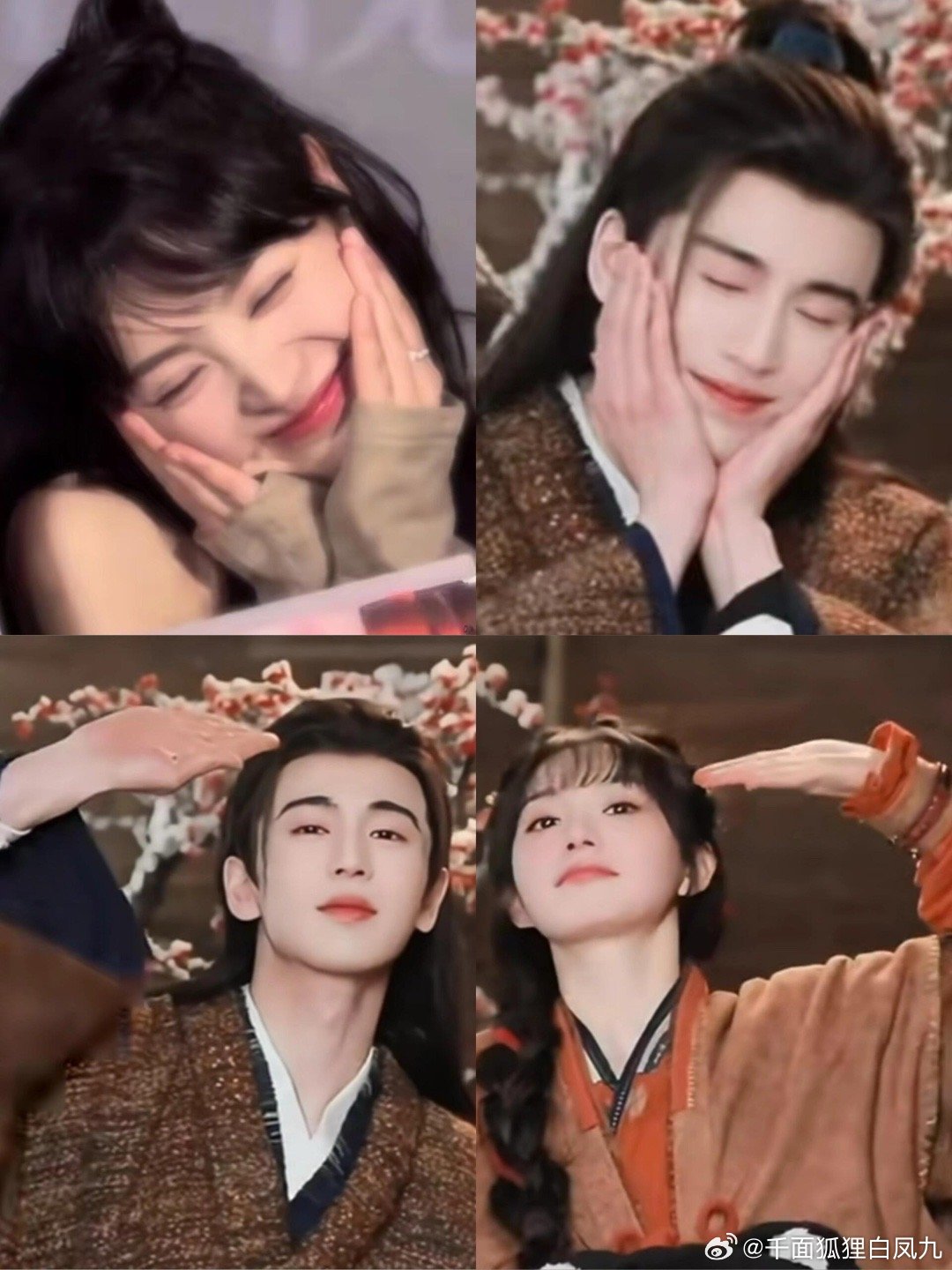 我们牛牛猫猫竟如此甜美逐玉张凌赫道歉