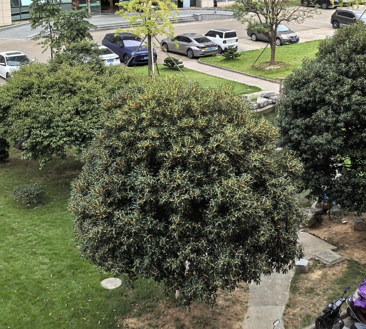 和闺蜜聚会聊天，津津有味的听她讲她哥哥照顾母亲的事。闺蜜兄妹三人都