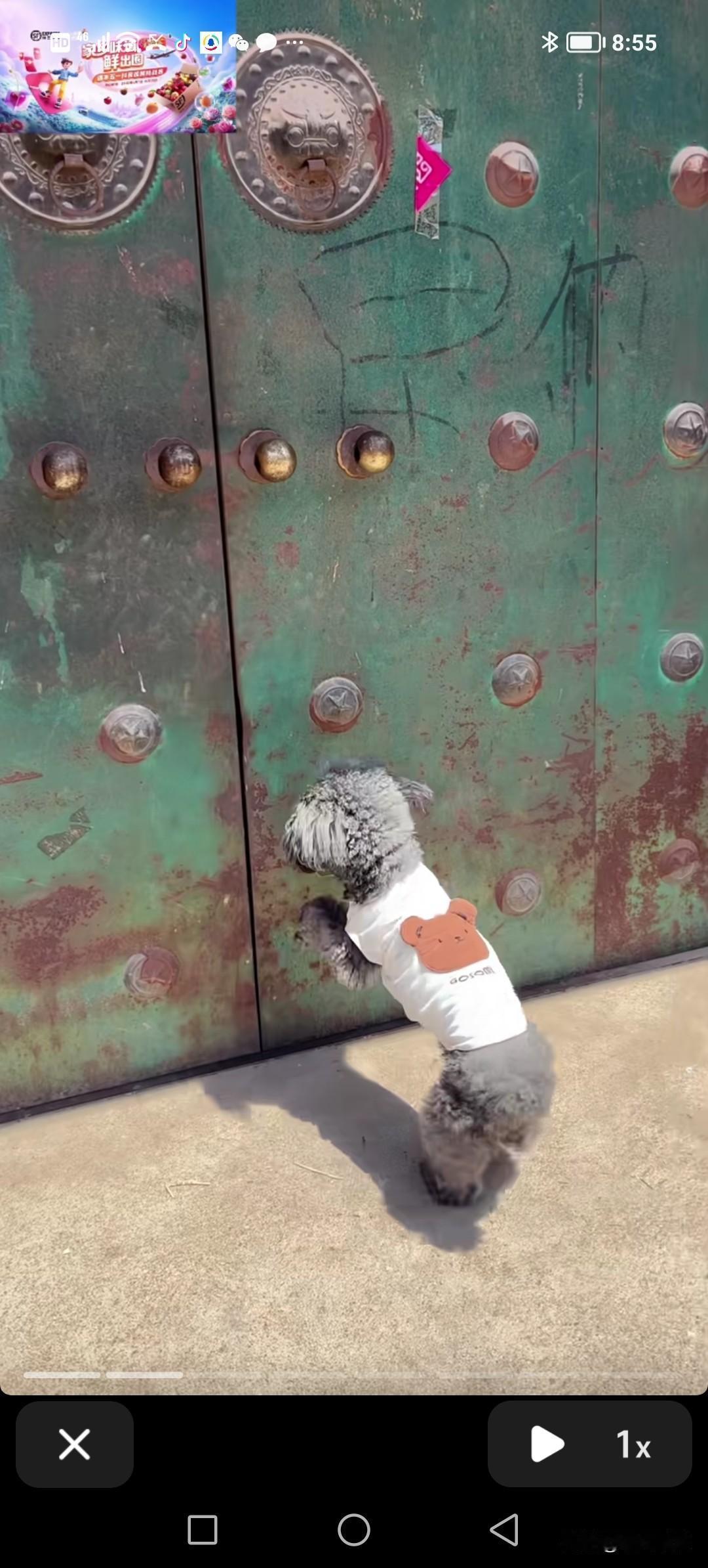 主人把泰迪送给了别人，这次它又回来找老主人。老主人说：“我都把你送出去了，就是不