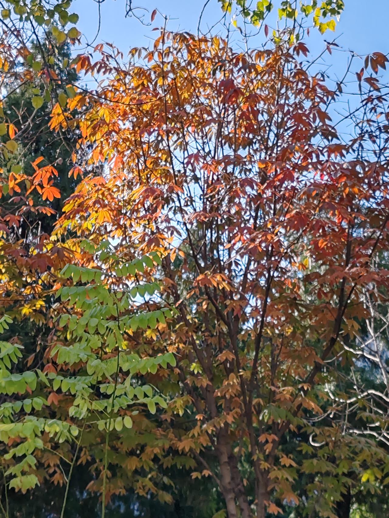 有钱便不会犯傻，没钱遇事才容易犯糊涂。银行取消了五年期大额存单，可还有三年期的大