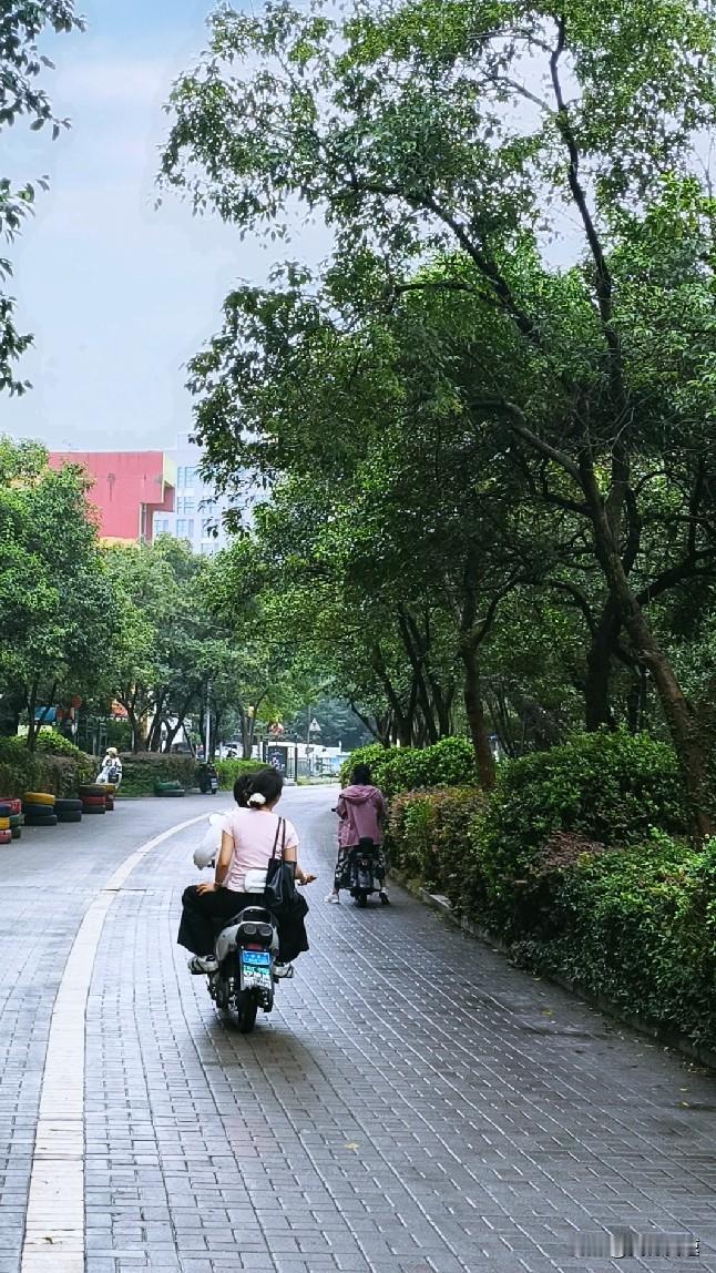 南京这场雨下了快24小时，早上出门穿短袖走了五十米，胳膊直接起了一层鸡皮疙瘩，赶