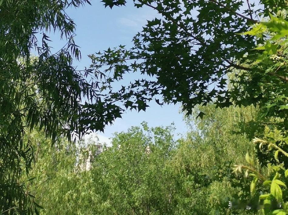 你知道吗？婆媳相处其实是一门技术活。婆媳之间最微妙的平衡就是价值感的平衡。如果