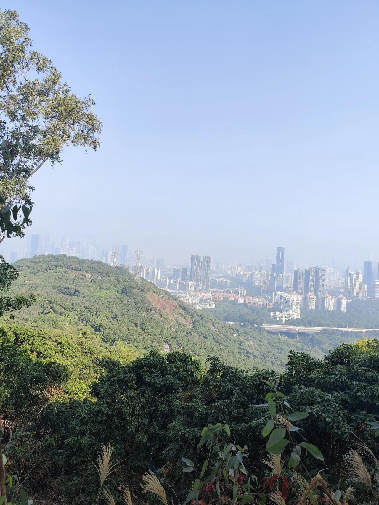 前几天去那家号称全国小炒肉第一的湘菜馆吃饭，有个热卤菜，我吃了觉得太辣，我就跟服