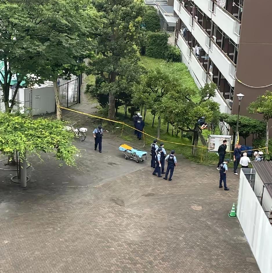 昨天听说邻居家16岁女儿走了，不是意外，是被“成绩”和“忽视