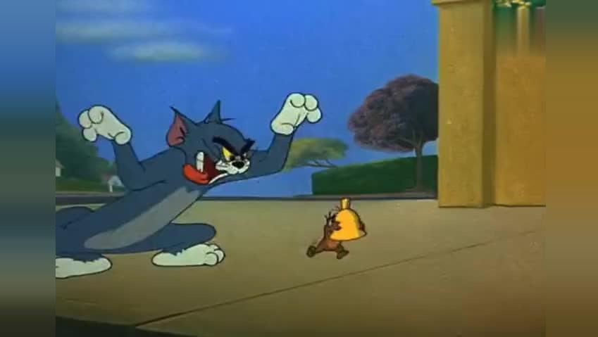 搞笑汤姆猫唱忐忑