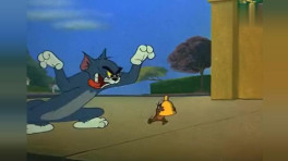 搞笑汤姆猫唱忐忑