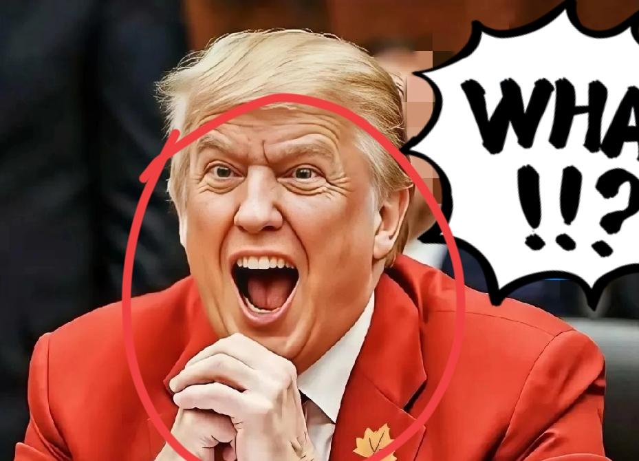 就在刚刚！美国这波操作把“政治优先、民生靠后”演得明明白白！政府停摆超39