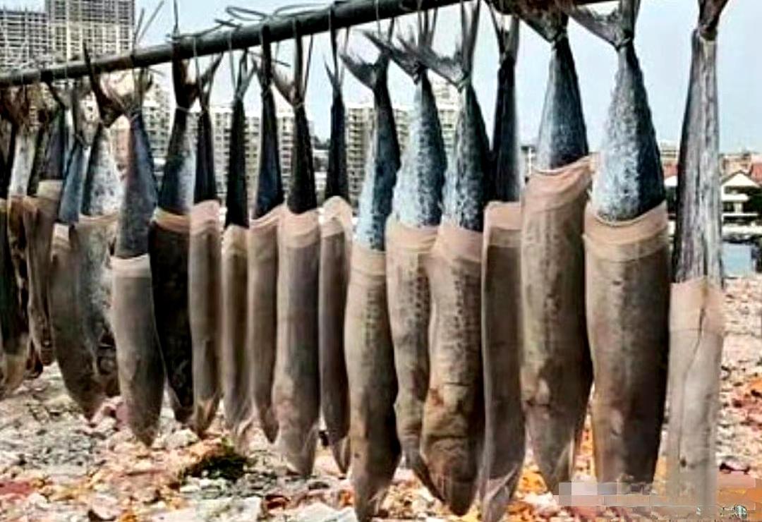 用袜子去套这个咸鱼是什么概念？