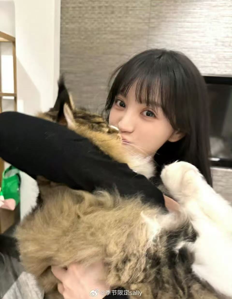 田曦薇带两只猫营业猫猫大王驾到！！！田曦薇带家里的两只小猫一起营业啦！这也太可