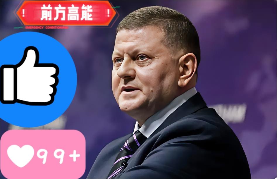 乌克兰方面消息！乌前军方一把手重磅表态！乌克兰前武装部队总司令扎卢日内公