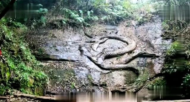 被誉为亚洲第一宝藏的江口沉银遗址，光打捞就用了六年之久“石牛对石虎，金银万万