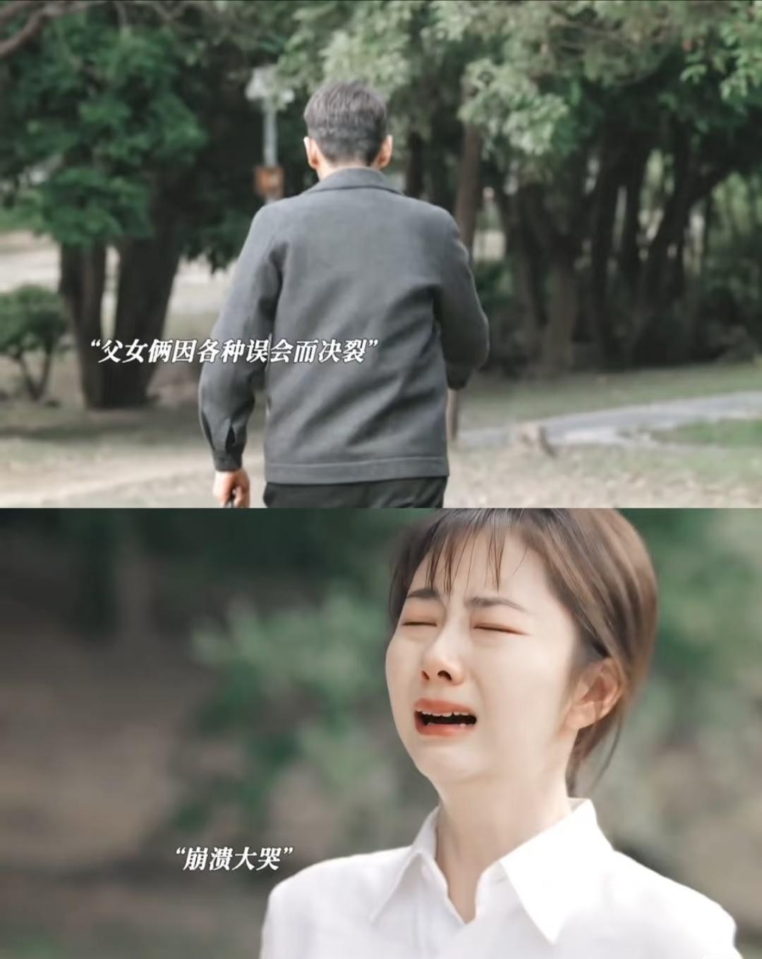 《我的山与海》：生下来就被遗弃，养母去世后和养父因误会决裂，男友把她当成工具人，