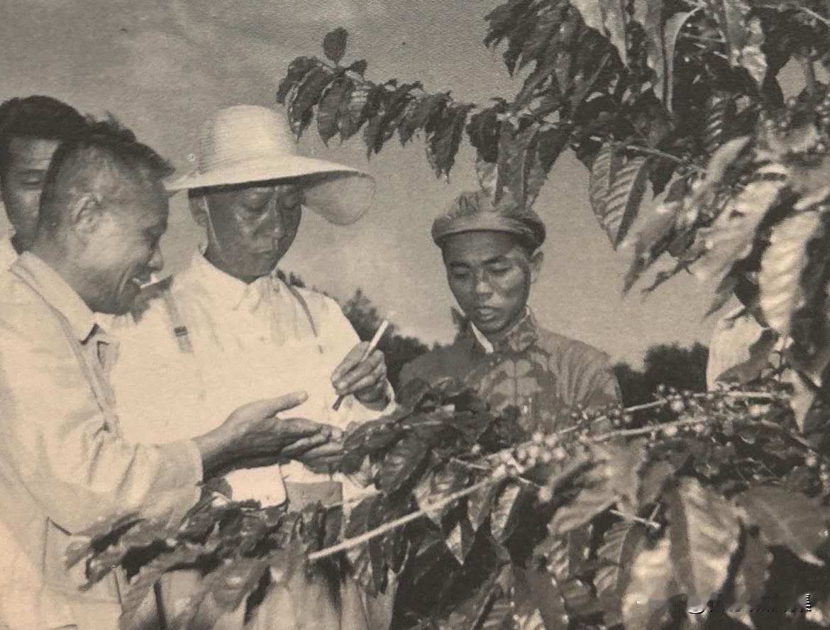 1959年11月，刘少奇在海南岛调研的老照片。其间，他考察了附近的部队、农村和学